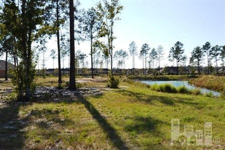 1234 Lillibridge Dr, Leland, NC 28451 - photo 1