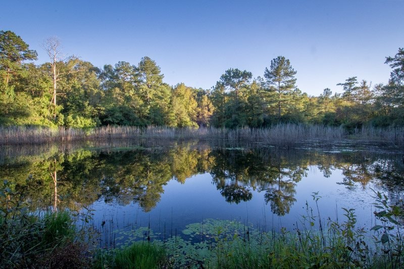 Ready for fishing...wood ducks were spotted on the