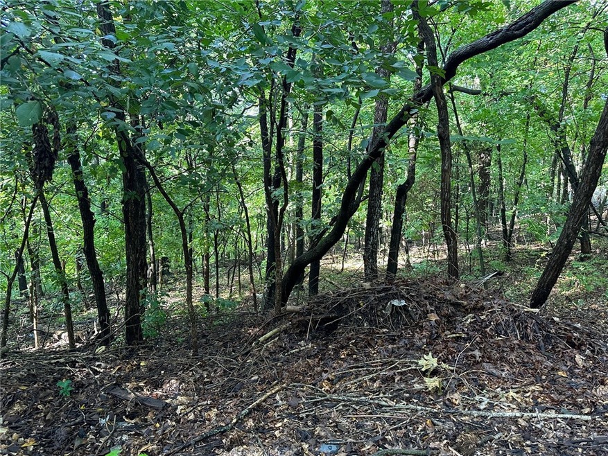 0 Pimlico Ln unit 1258601, Bella Vista, AR 72714 - photo 1