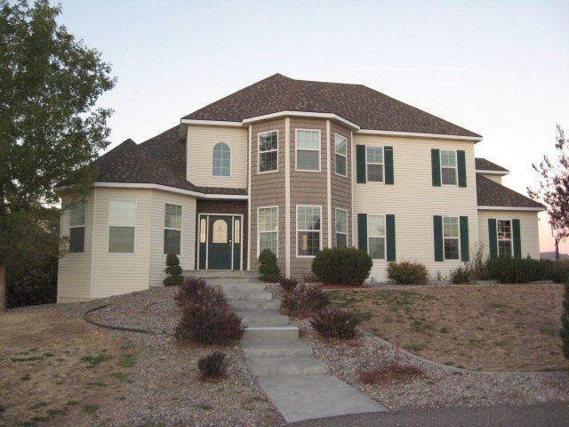 Main View