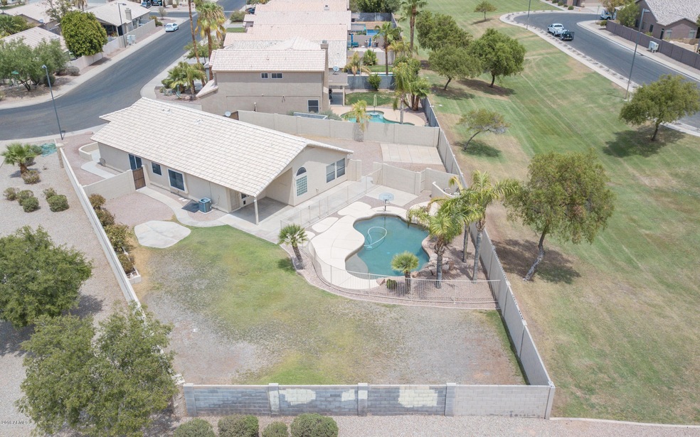 Ocotillo_Side_1