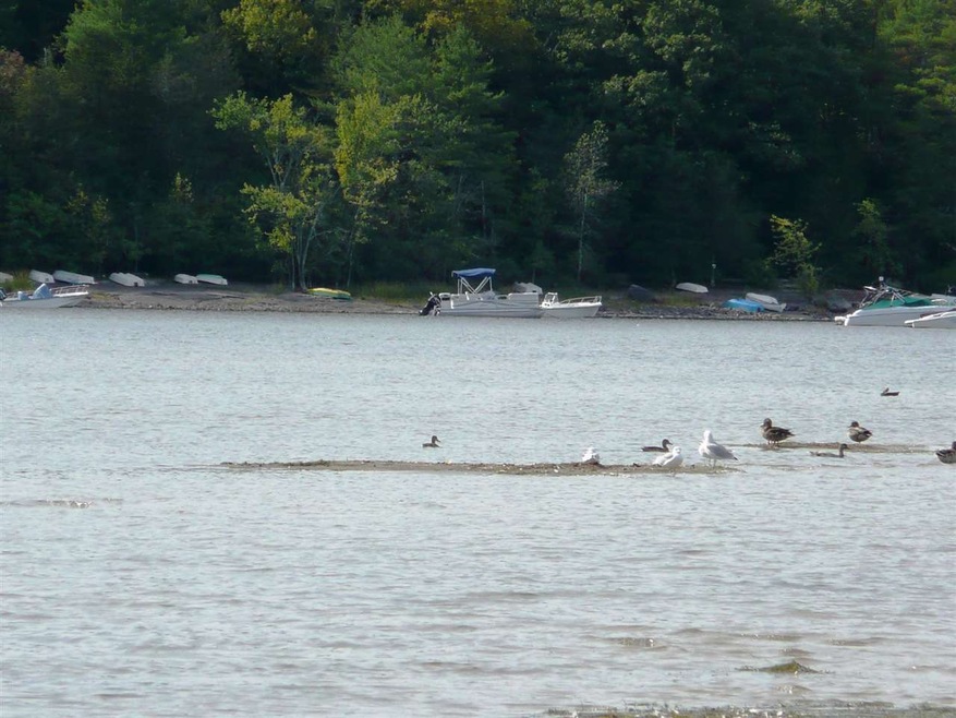 771 Bay Rd, Shelburne, VT 05482 - photo 1