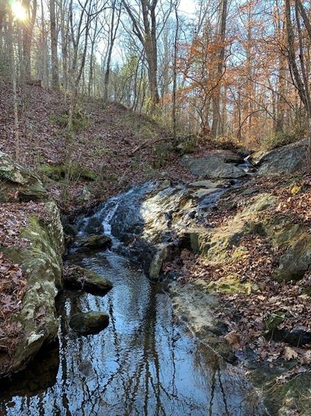 0 Poseyville Rd unit 6827985, Bremen, GA 30110 - photo 1