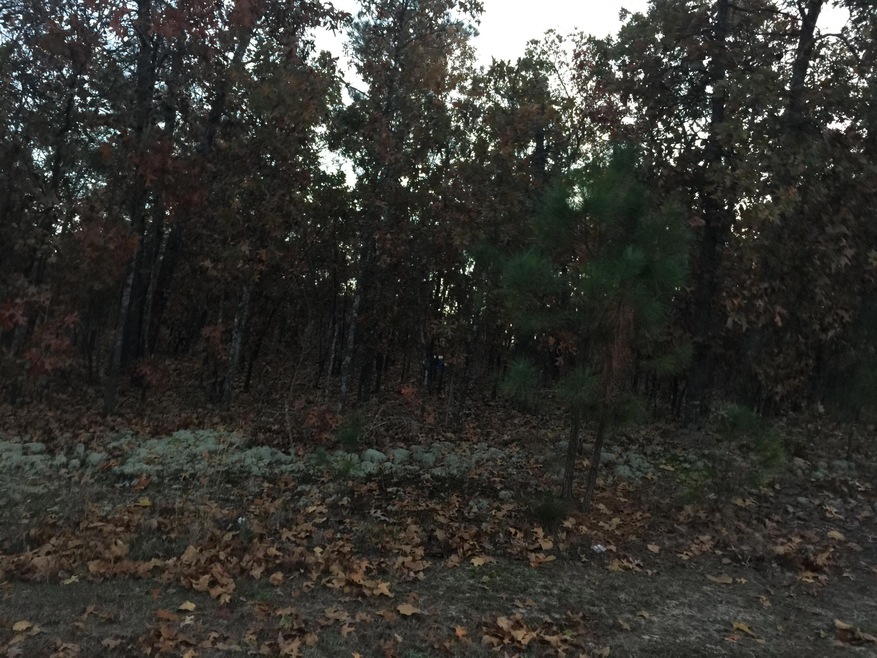 2015-11-16 17.23.33