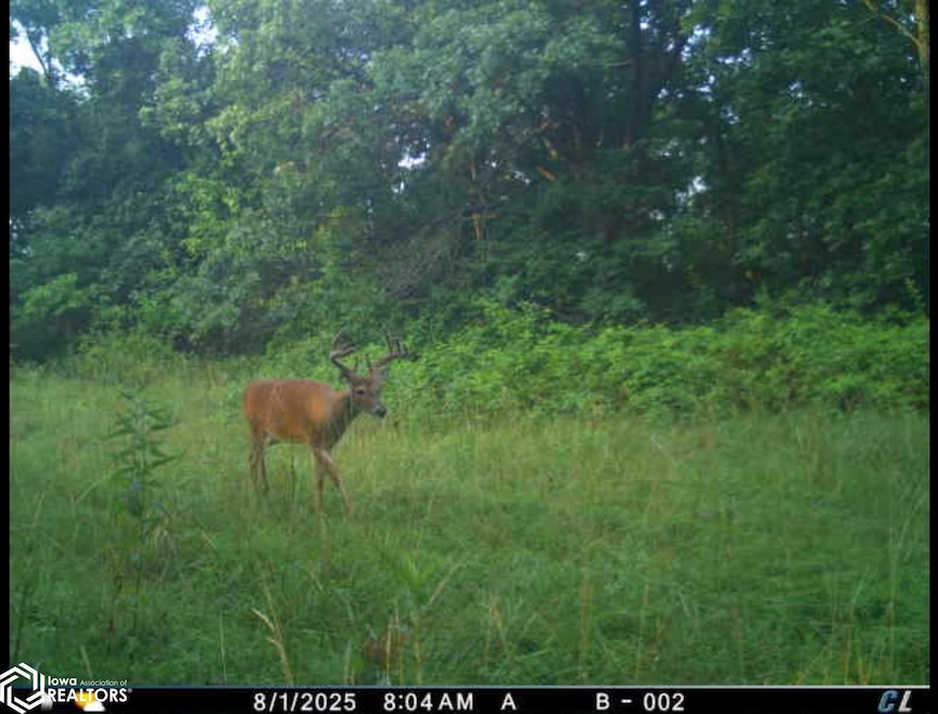 0 183rd Ave unit NOC6327433, Cincinnati, IA 52549 - photo 1
