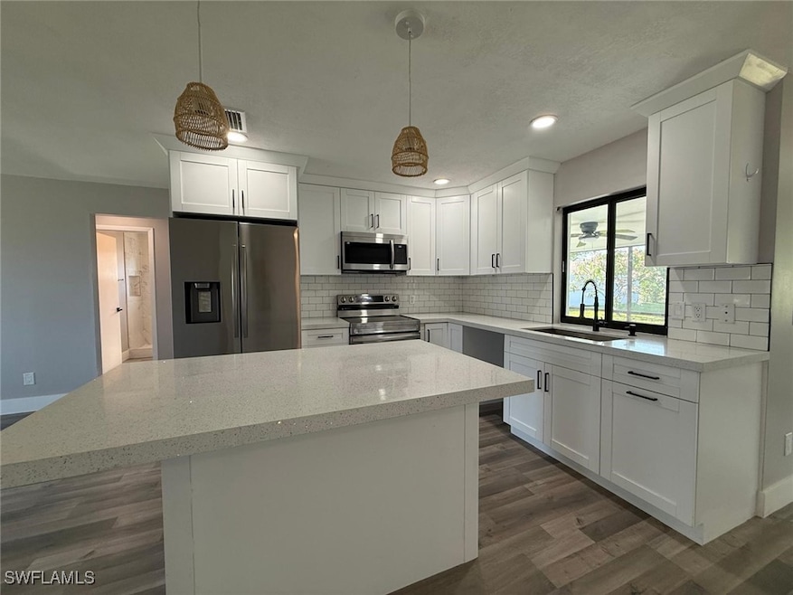 Kitchen featuring dark wood finished floors, a sin