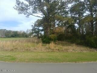 147 Gibbs Ct, Beaufort, NC 28516 - photo 1