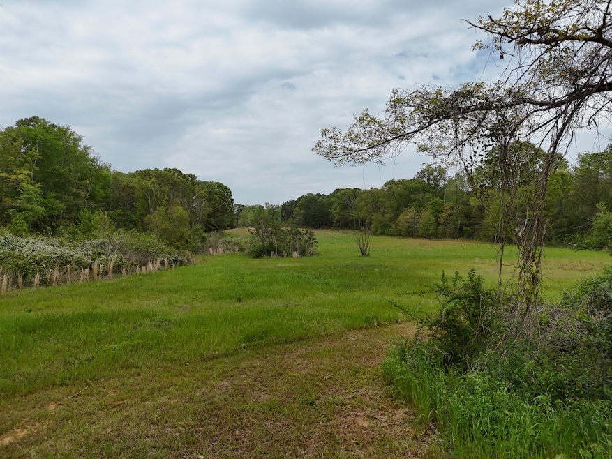 DJI_20240416154347_0042_D