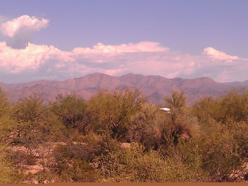 lush vegetation and mountain views
