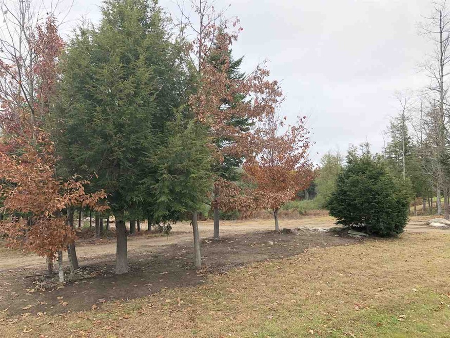 Lot 4 Farm Pond Ln unit Lot 4 aka Lot 23, Tuftonboro, NH 03816 - photo 1