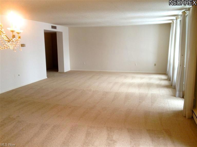 Newly painted and carpeted Living Room