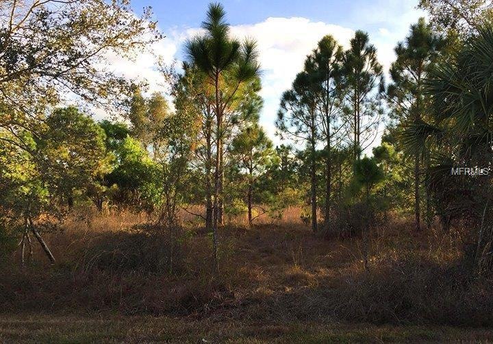 27133 Aloha Dr, Punta Gorda, FL 33955 - photo 1