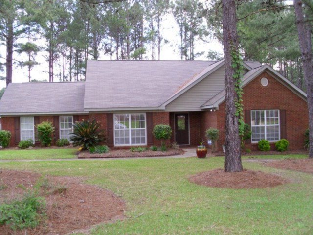 Main View