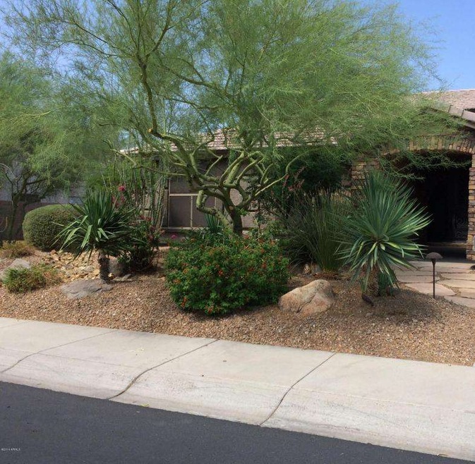 01 Front Yard