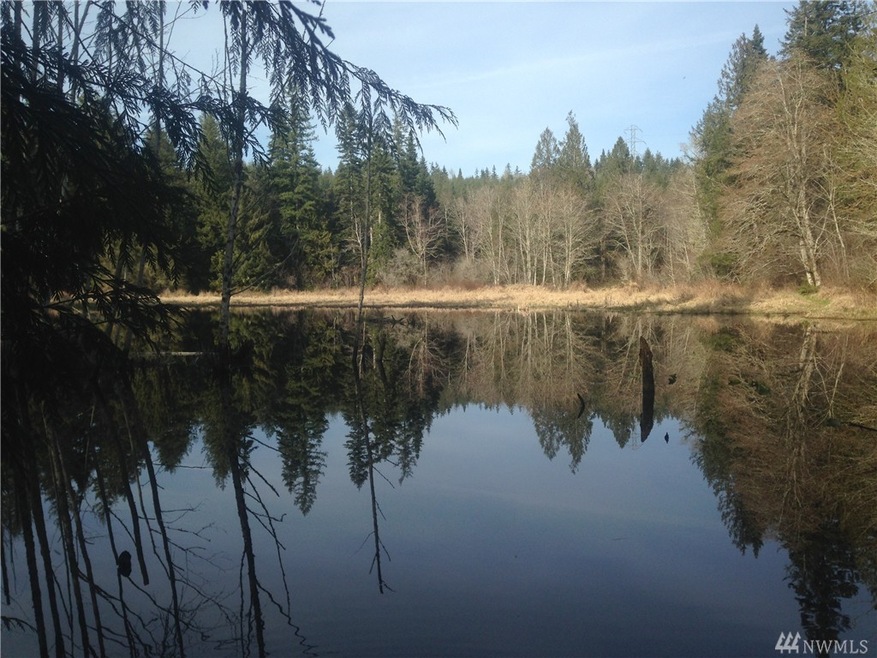 13556 Center Rd, Quilcene, WA 98376 - photo 1