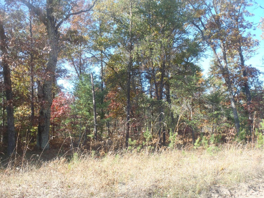 0 Poplar Ave, Lilley Township, MI 49309 - photo 1