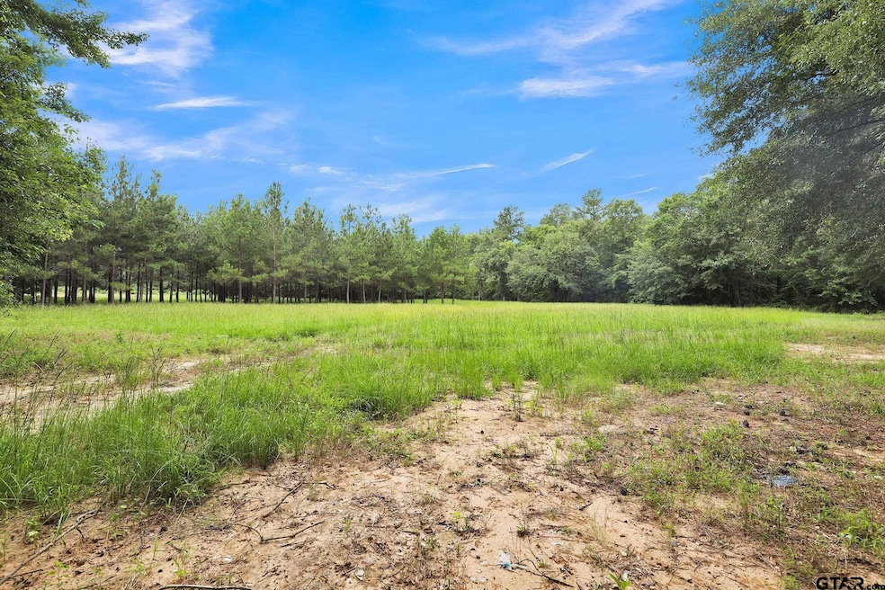 10114 C R 272, Tyler, TX 75707 - photo 1