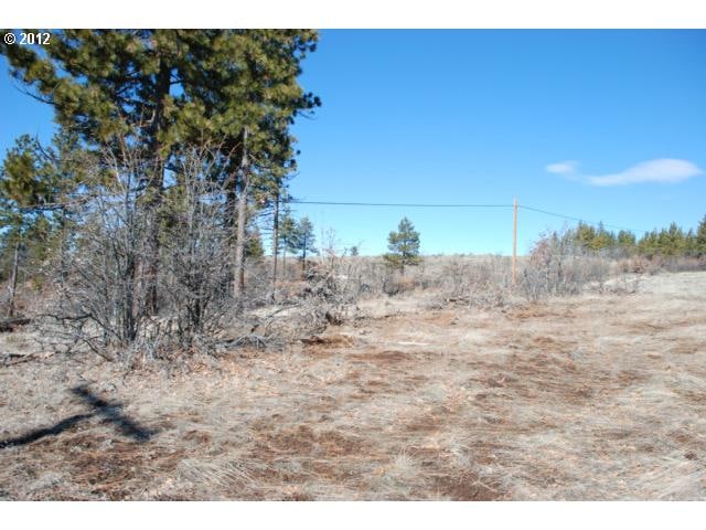 0 Timber unit 66 12454100, Bickleton, WA 99322 - photo 1