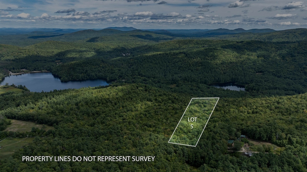 TBD Youngs Rd, Eaton, NH 03849 - photo 1