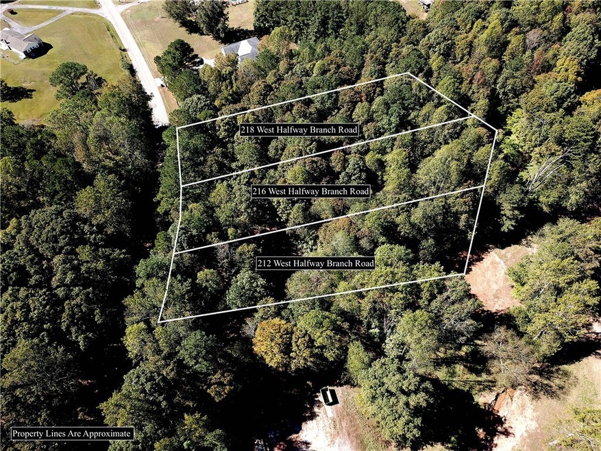 216 W Halfway Branch Rd, Walhalla, SC 29691 - photo 1