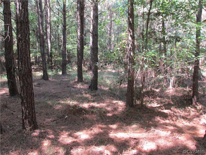 20 Beagle Chase, Prince George, VA 23842 - photo 1