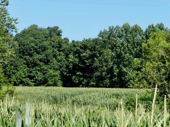 unlisted-address, Versailles, IN 47042 - photo 1