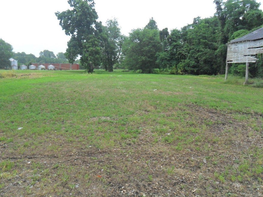 0 Virginia St, New Madrid, MO 63869 - photo 1