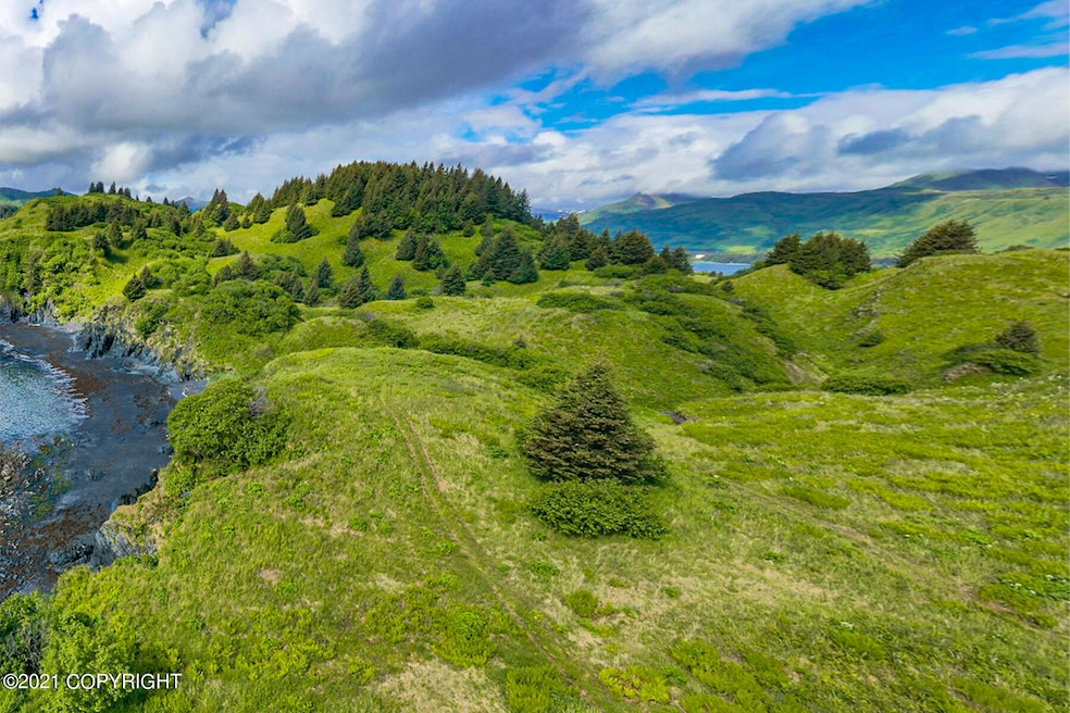 5986 Cliff Point Rd, Kodiak, AK 99615 - photo 1