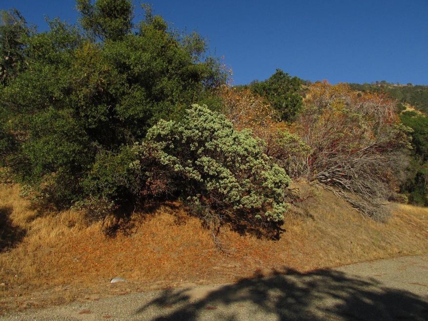 View of property from paved road.