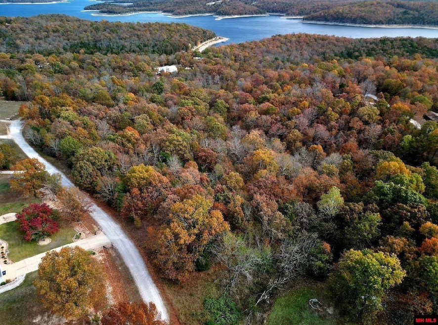002-11055-016 Buckhead Ln, Mountain Home, AR 72653 - photo 1