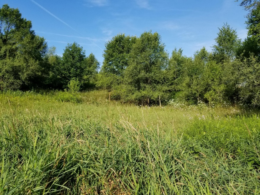 B 144th Ave, Wayland, MI 49348 - photo 1