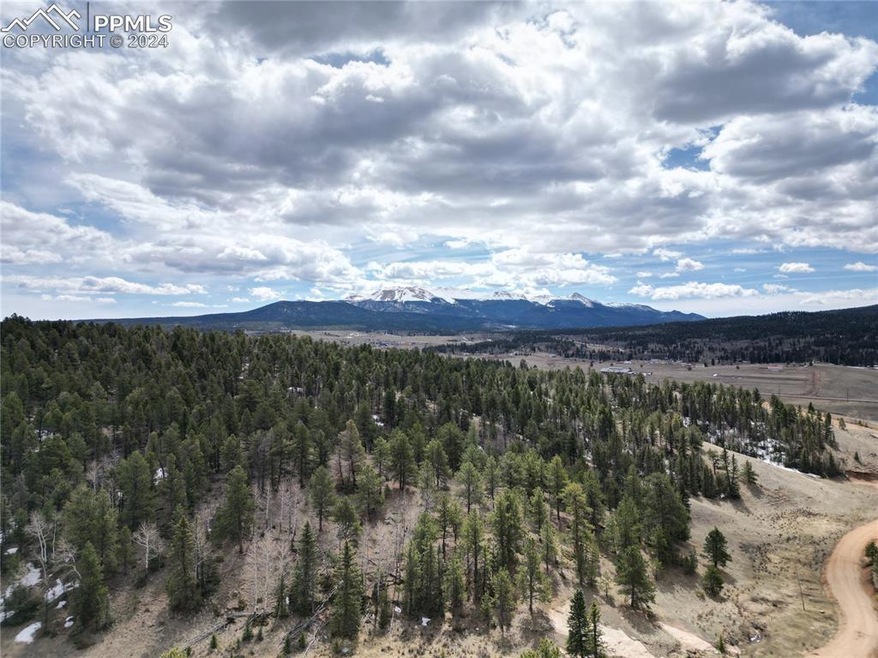 LOT 3 Highway 24, Divide, CO 80814 - photo 1