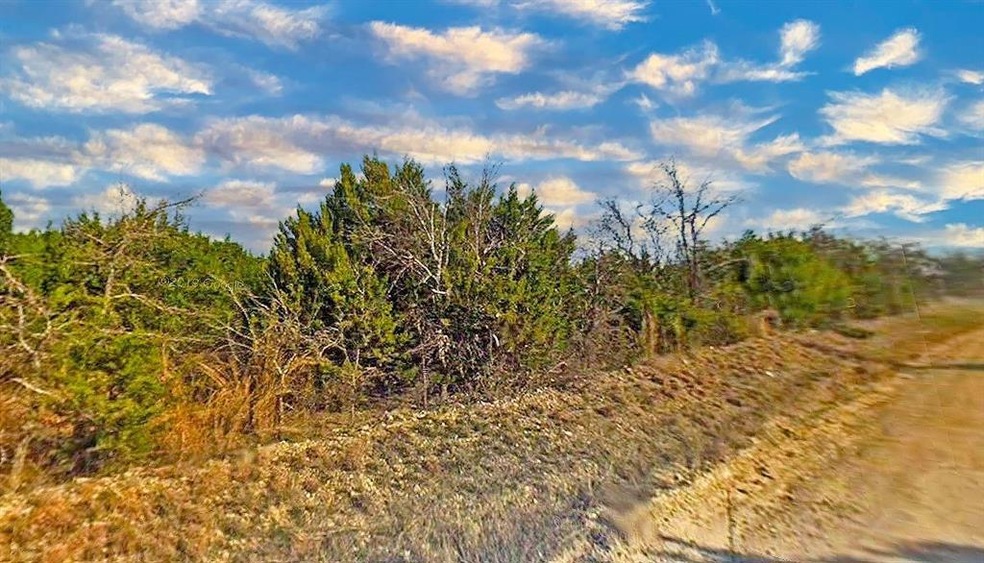 1053 White Bluff Dr, Whitney, TX 76692 - photo 1