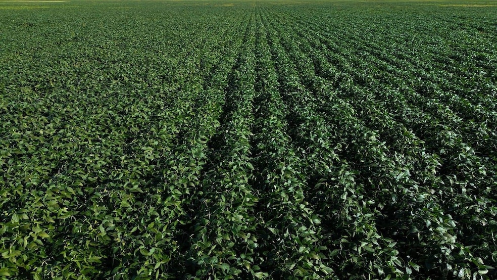 Tbd 428th Ave and 103rd St, Kidder, SD 57430 - photo 1