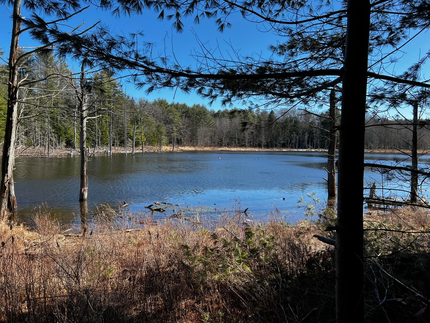 smith land