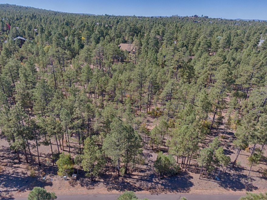 1840 S Bristlecone Dr, Show Low, AZ 85901 - photo 1