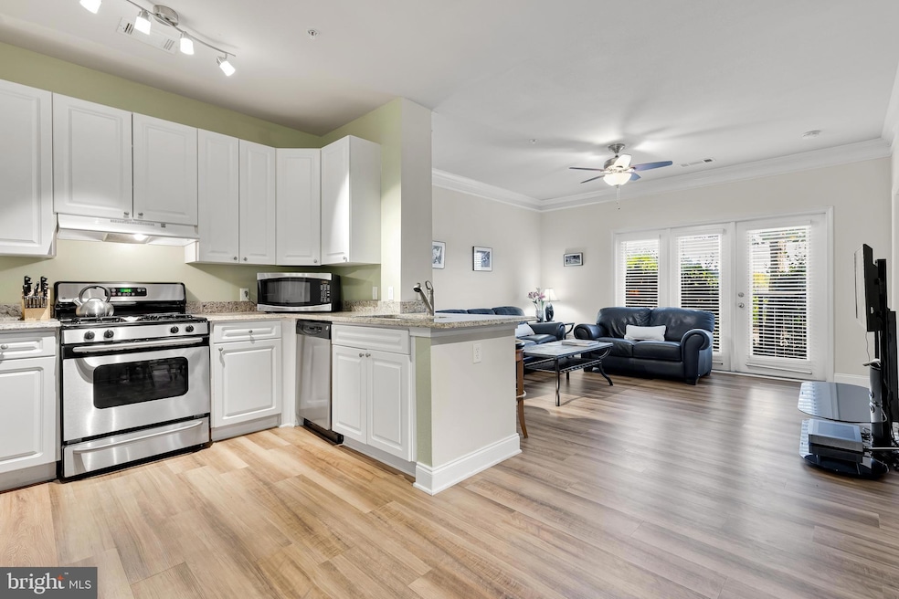 The Fitz at Rockville Town Center, Rockville, MD 20850 - photo 1