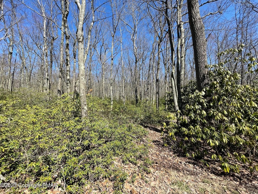 E452 Susquehanna Dr, Jim Thorpe, PA 18229 - photo 1