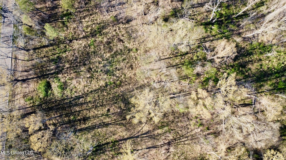 5370 Clinton-Tinnin Rd, Jackson, MS 39209 - photo 1