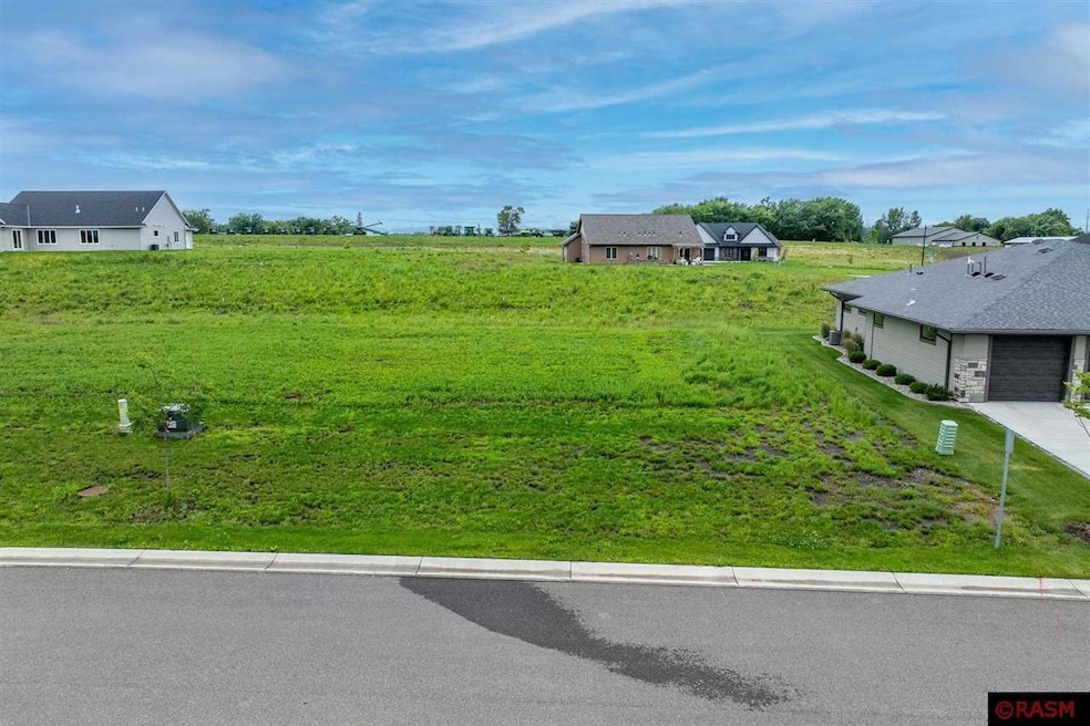 1034 Mahoe Way, Mankato, MN 56001 - photo 1