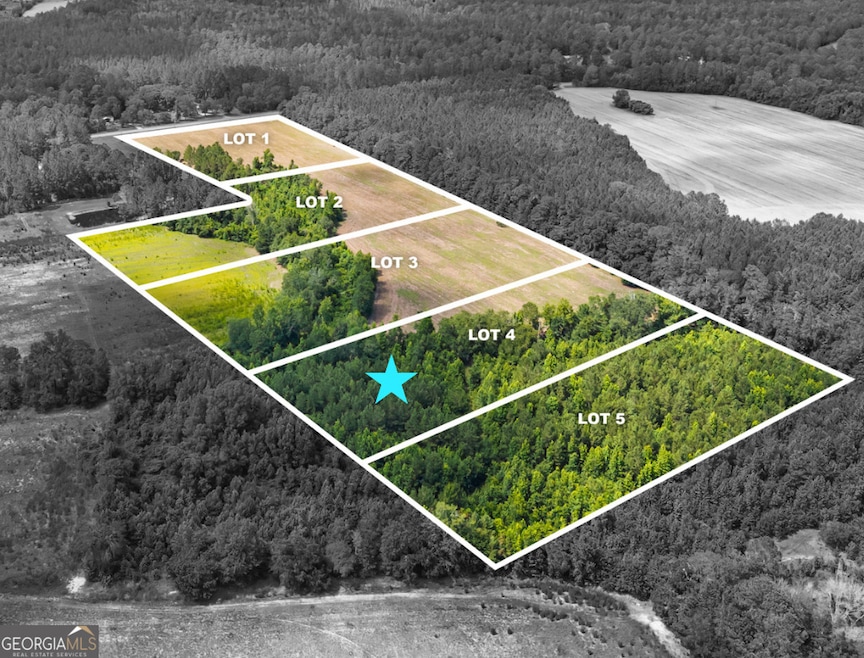 0 Fabled Ln unit LOT 4, Pembroke, GA 31321 - photo 1