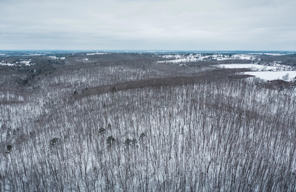 DJI_0231