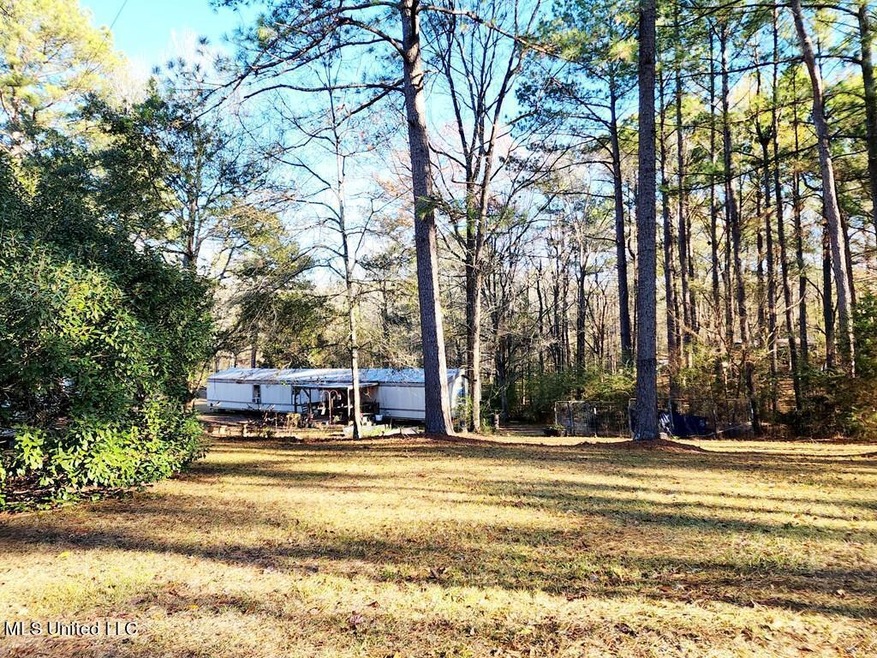 Front Yard View