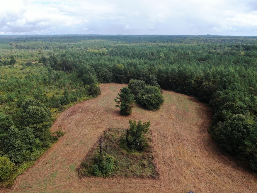 Mt Gilead Rd, Holly Springs, MS 38635 - photo 1