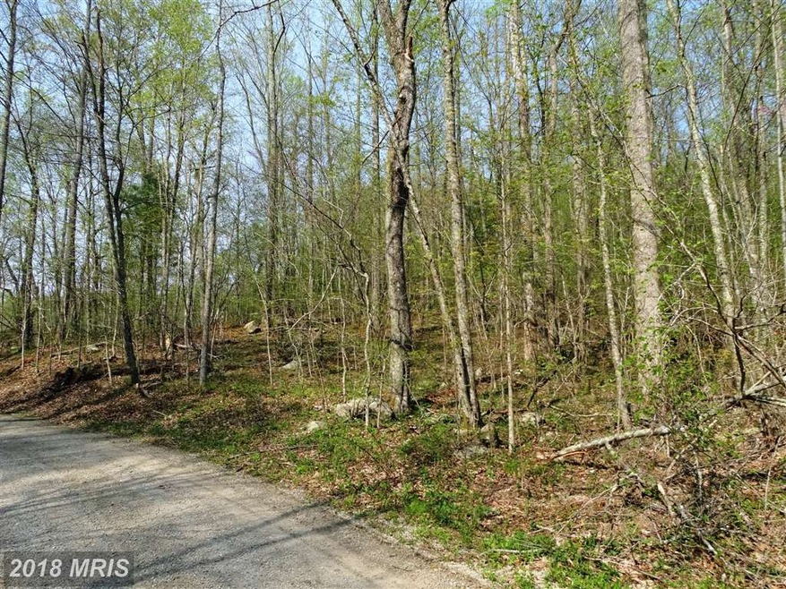 405 Garth Run Rd, Madison, VA 22727 - photo 1