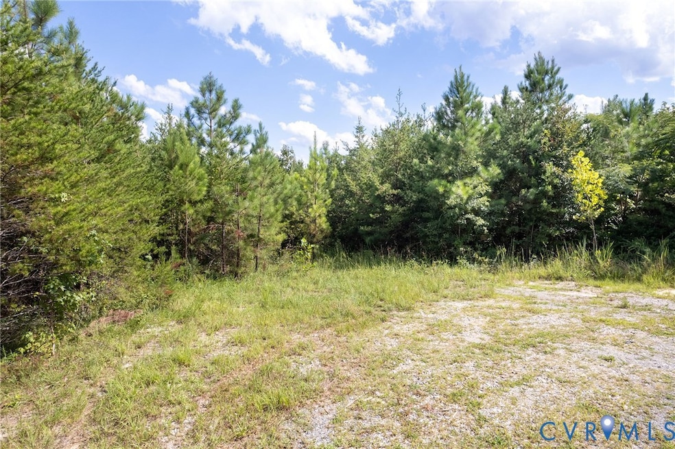 View of tree filled area