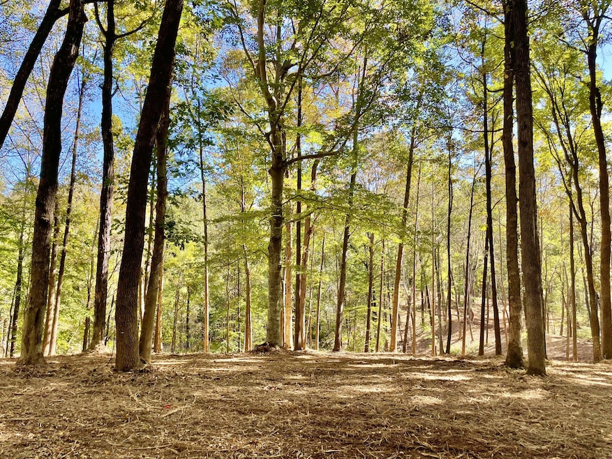 0 Harper Rd unit RTC2945401, Clarksville, TN 37043 - photo 1