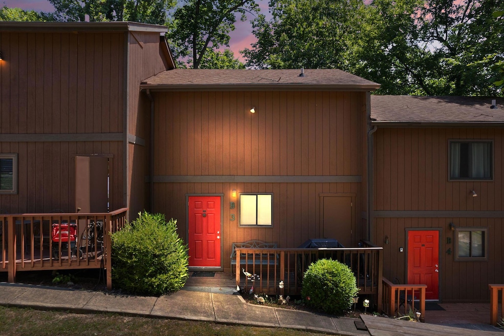 2-web-or-mls-DJI_0060 copy