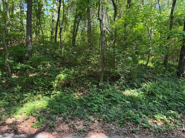 For Sale $490,000 • Co-Listing Agent