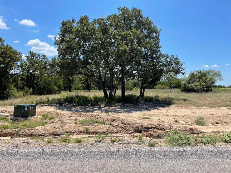 1216 Eagles Bluff Dr, Weatherford, TX 76087 - photo 1